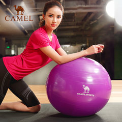 【热销3800件】CAMEL骆驼瑜伽球套装 减肥瘦身平衡弹力运动健身球