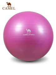 CAMEL骆驼运动瑜伽球 减肥健美瘦身平衡弹力厚防爆球健身房瘦身球