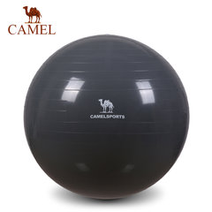 CAMEL骆驼瑜伽球套装 平衡弹力运动健身球大尺寸