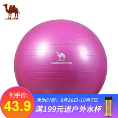 骆驼运动瑜伽球孕妇分娩运动健身儿童平衡球弹力防爆