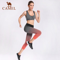 CAMEL骆驼女款运动七分裤 女款休闲跑步针织七分裤