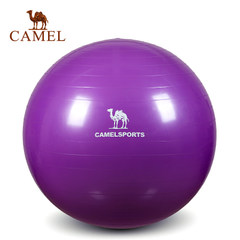 CAMEL骆驼瑜伽球套装 平衡弹力运动健身球瑜伽球