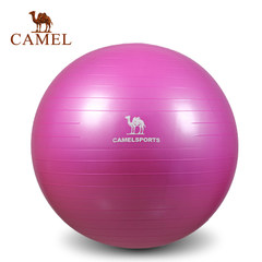 CAMEL骆驼运动瑜伽球 平衡弹力防爆球瑜伽球