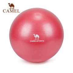 CAMEL骆驼瑜伽球 防爆防滑普拉提球运动健身球